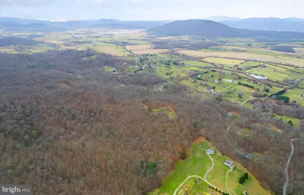 Marshall, VA 20115,PRIMROSE