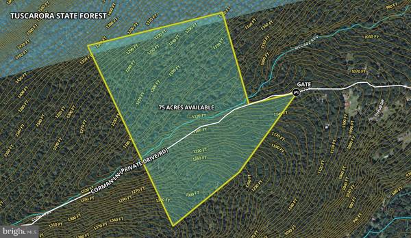 Landisburg, PA 17040,0-LOT #1 CORNMAN LN