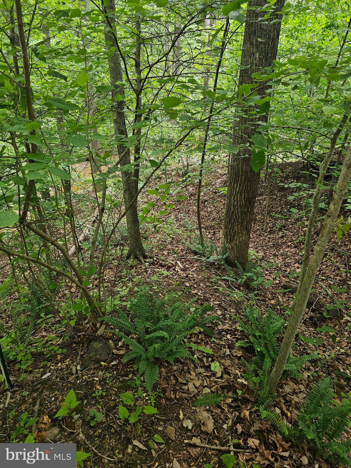 Front Royal, VA 22630,DRY RUN CT - LOT 9