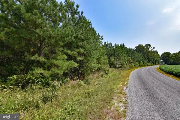 Ruther Glen, VA 22546,0 LEWIS MOORE RD