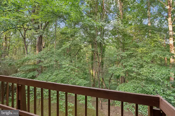 Mclean, VA 22101,1330 POTOMAC SCHOOL RD