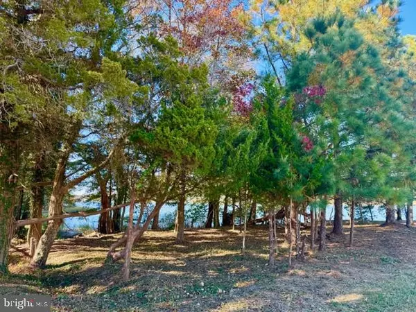 11429 MAID AT ARMS LN #LOT 89, Berlin, MD 21811