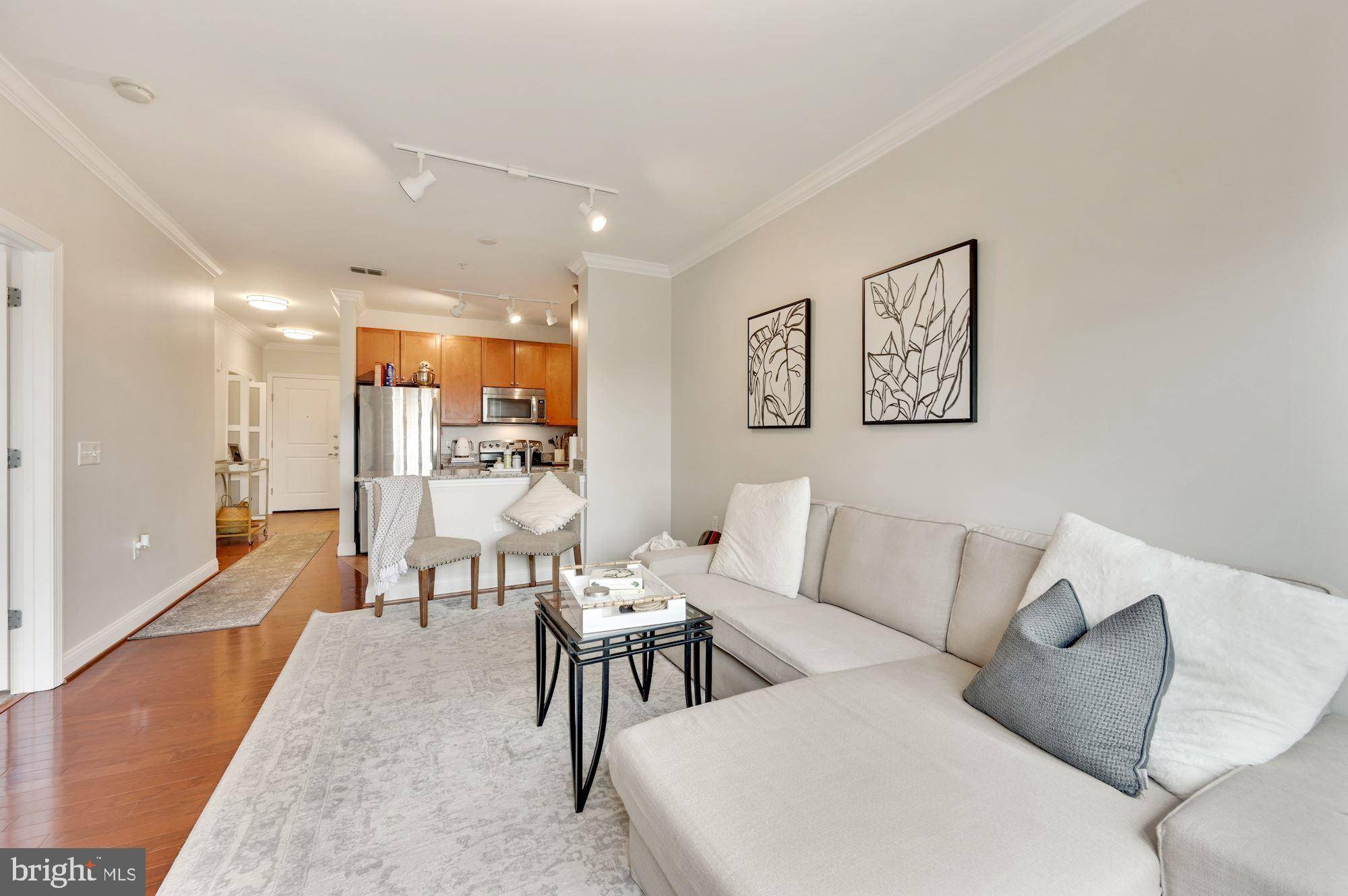 Washington, DC 20003,1391 PENNSYLVANIA AVE SE #341