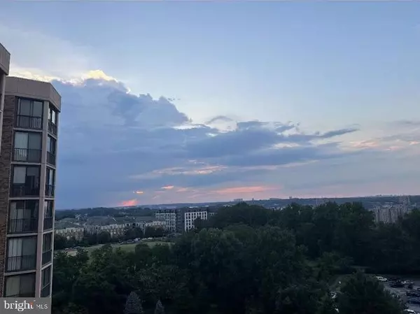 Alexandria, VA 22303,5902 MOUNT EAGLE DR #1209