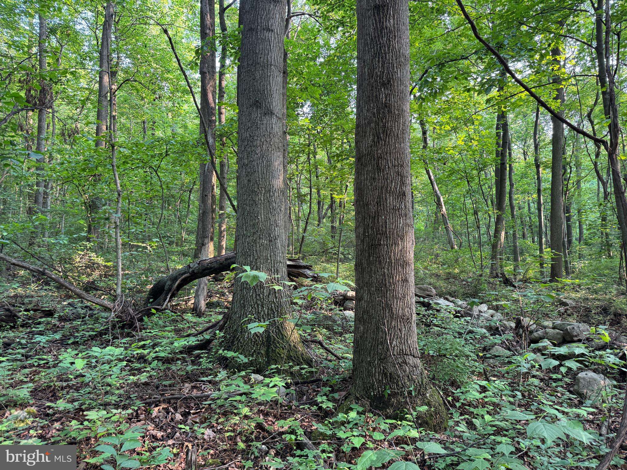 Willow Hill, PA 17271,5.5+/- ACRES MOUNTAIN GREEN ROAD