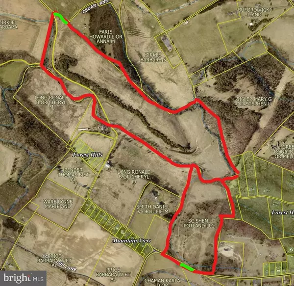 New Market, VA 22844,2 LOTS 98 ACRES SMITH CREEK RD