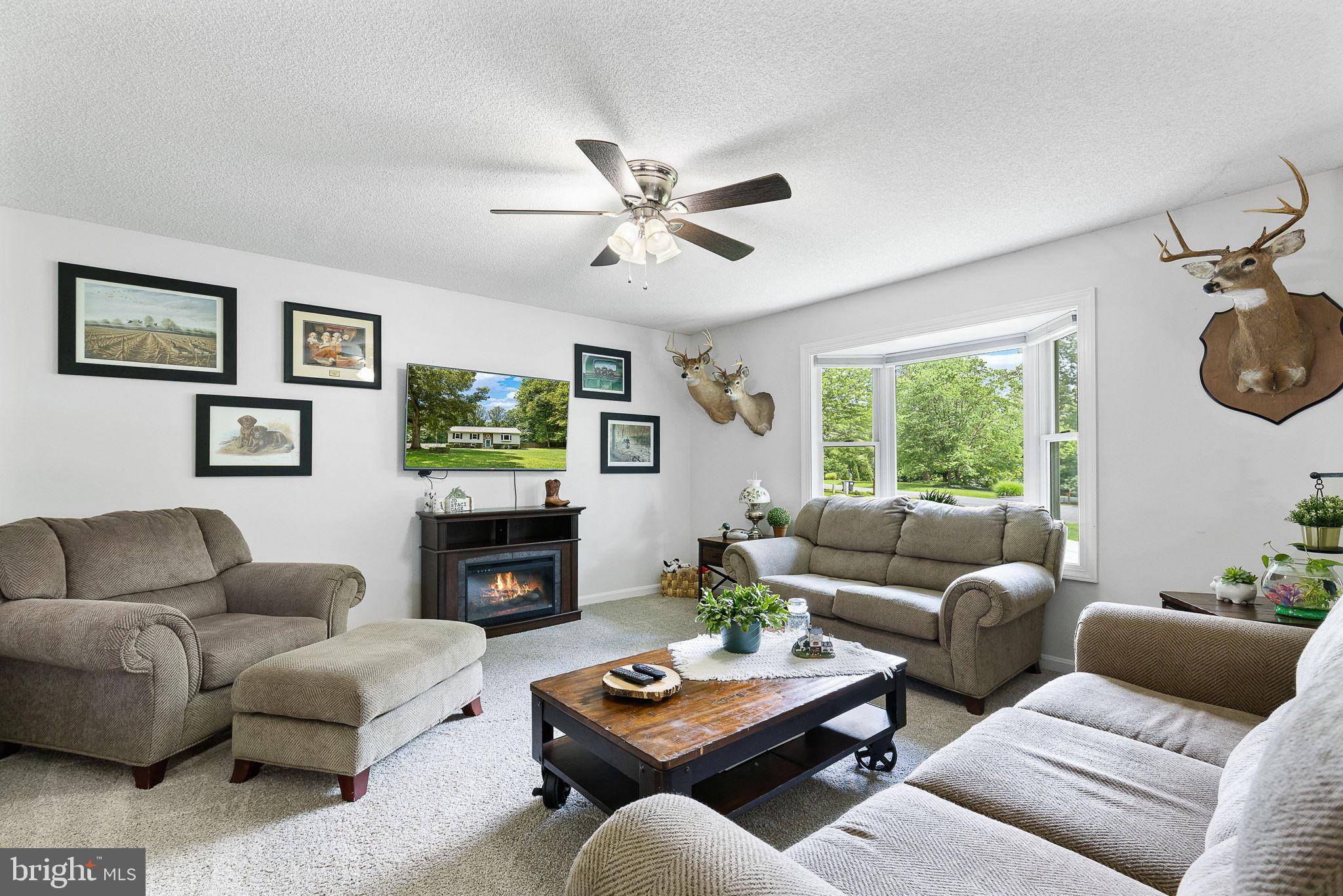 Spotsylvania, VA 22551,4 PALOMINO CT