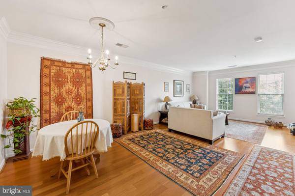 Vienna, VA 22182,1506 NORTHERN NECK DR #202