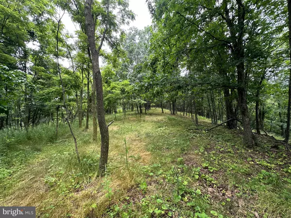 Moorefield, WV 26836,186 ASHTON WOODS