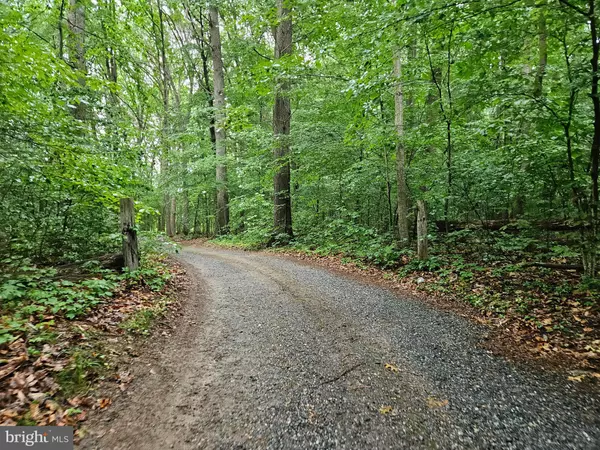 Worton, MD 21646,12442 CLARK RD