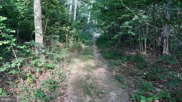 Mount Jackson, VA 22842,BRUSH LEAF LN