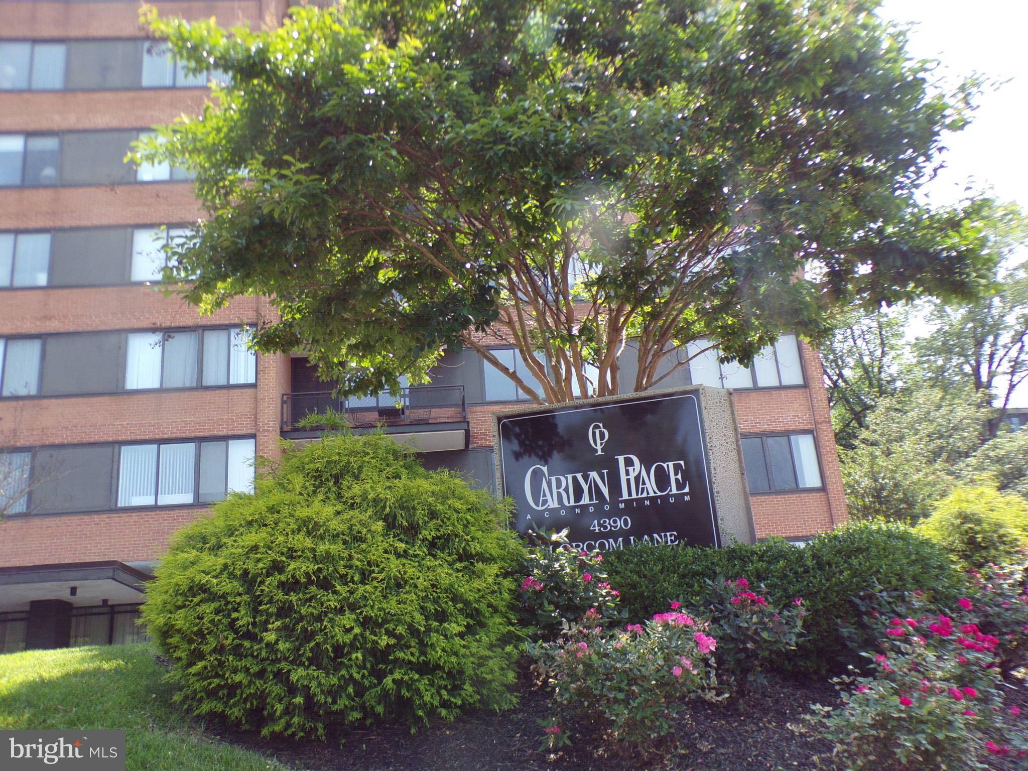 4390 LORCOM LN #804, Arlington, VA 22207