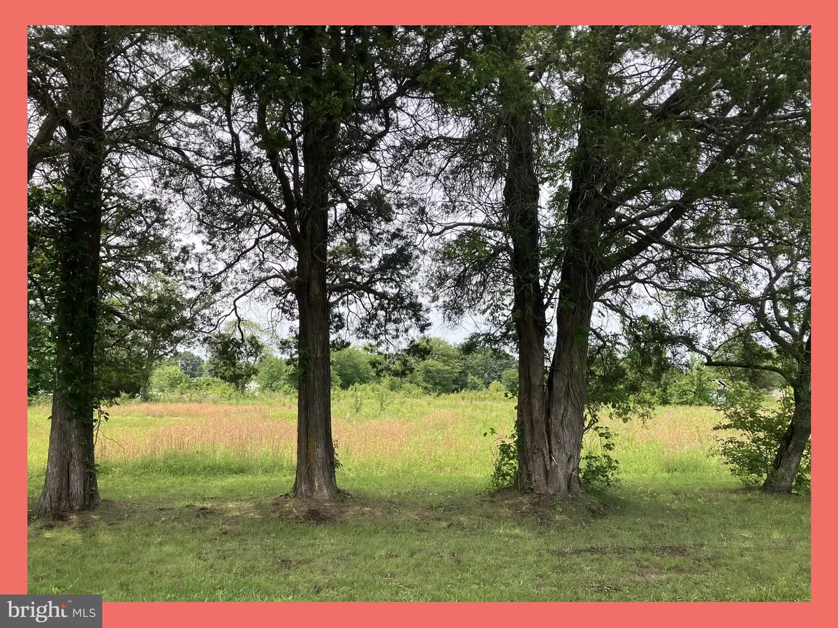Bushwood, MD 20618,LONGVIEW BLVD