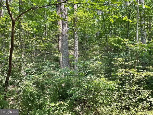 New Windsor, MD 21776,13+/- ACRES BUFFALO RD