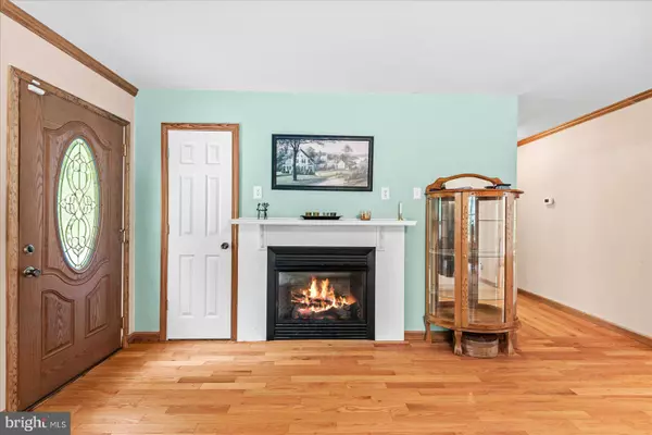 Locust Grove, VA 22508,3313 FLAT RUN RD