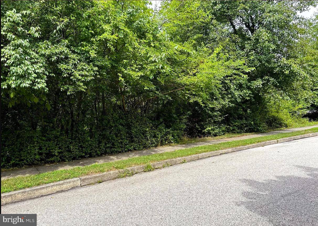 Ambler, PA 19002,4 WILLET DR
