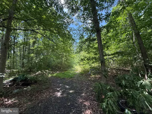 1533-A MITCHELL LN, Aberdeen, MD 21001