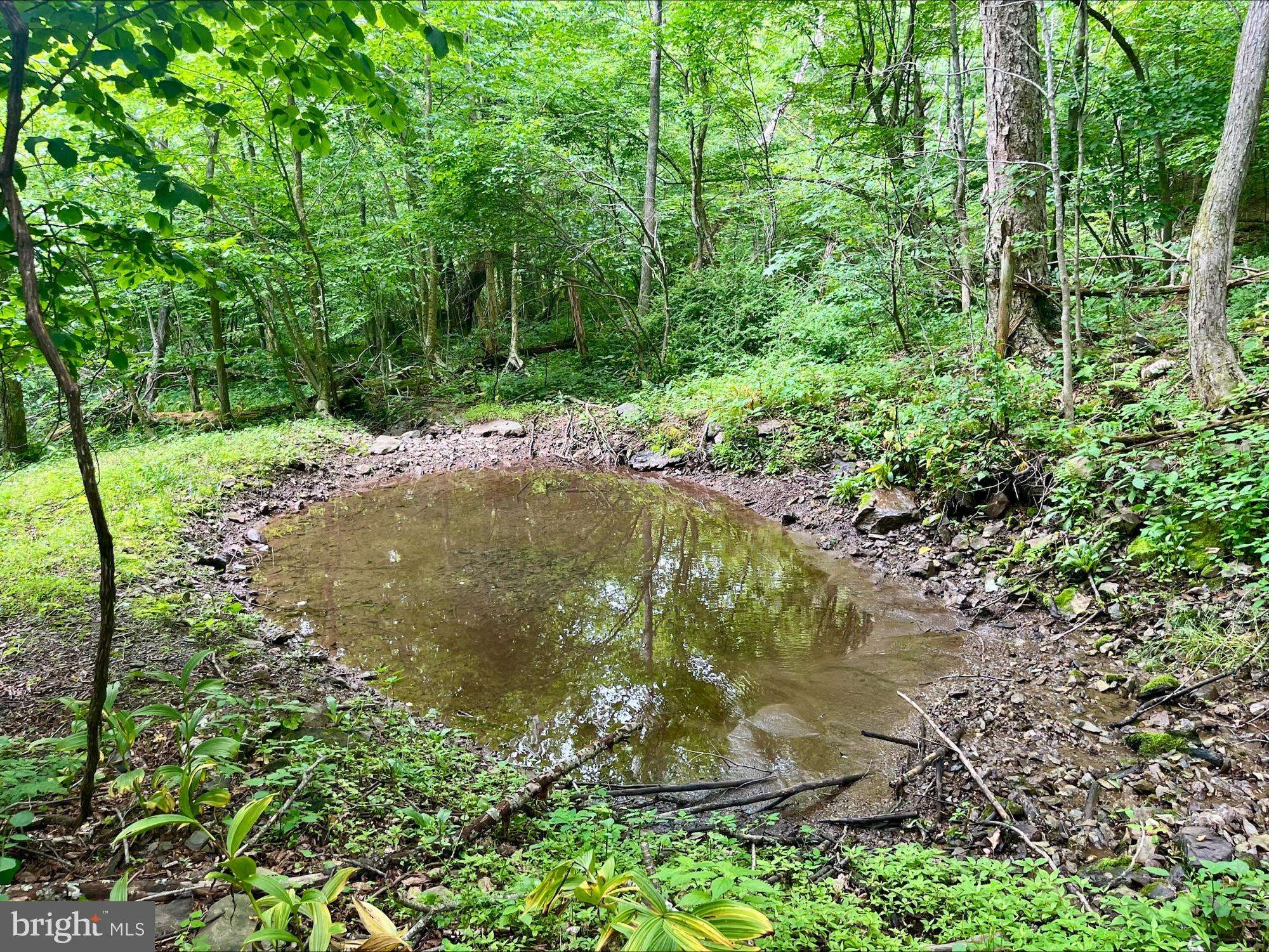 Stanley, VA 22851,PARIS RD