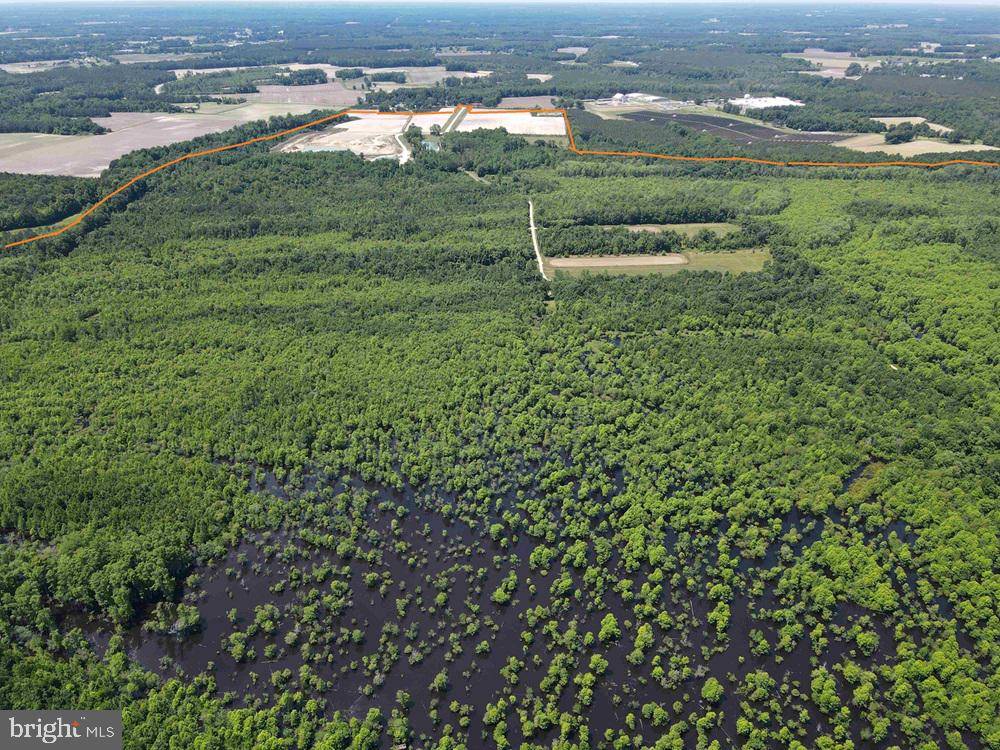 Beaufort, NC 28516,STATE RT. 125 (TRACT: CHERRY ISLAND)