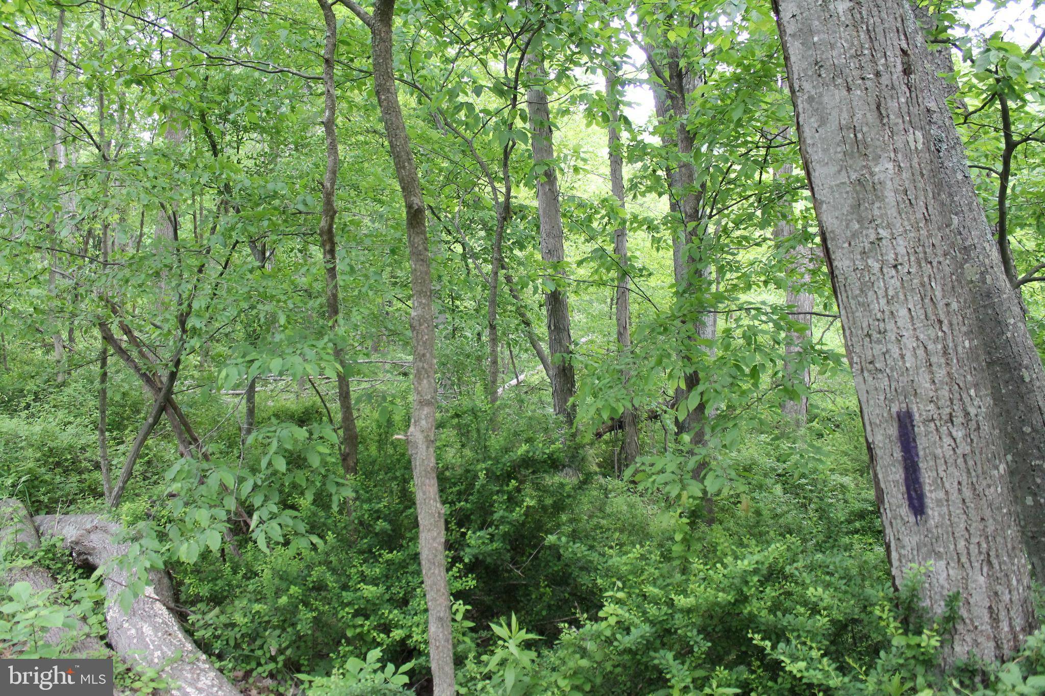 Everett, PA 15537,00 BLACK VALLEY RD