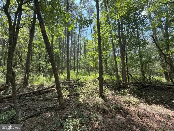 Berkeley Springs, WV 25411,14.5 AC PCL A- OFF VIRGINIA LINE RD