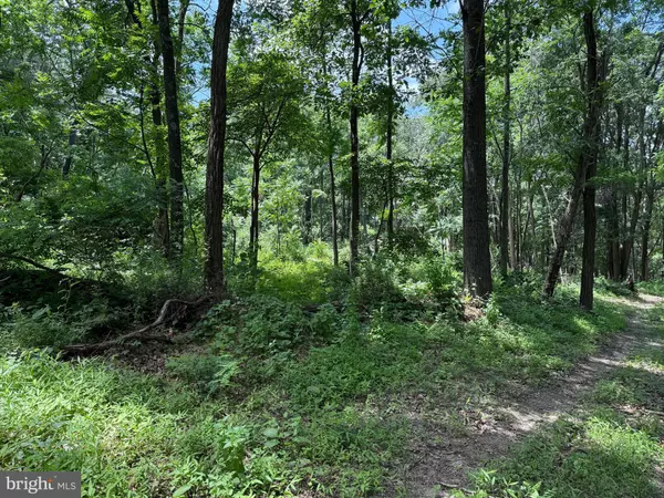 Augusta, WV 26704,81 CABIN RD