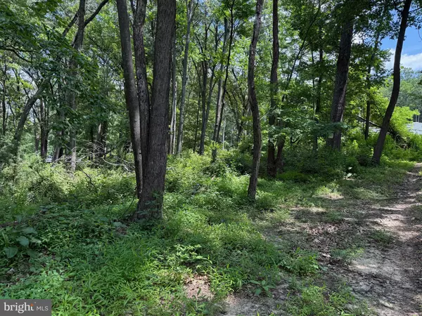 Augusta, WV 26704,81 CABIN RD