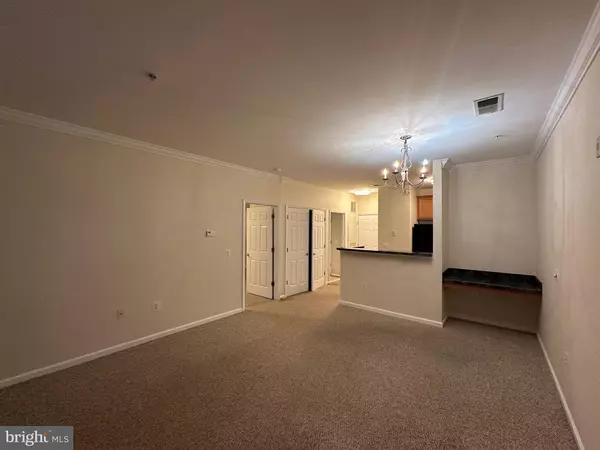 Chantilly, VA 20151,3820 LIGHTFOOT ST #217