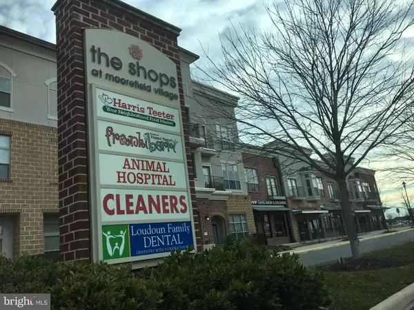 Ashburn, VA 20148,22591 AMENDOLA TER