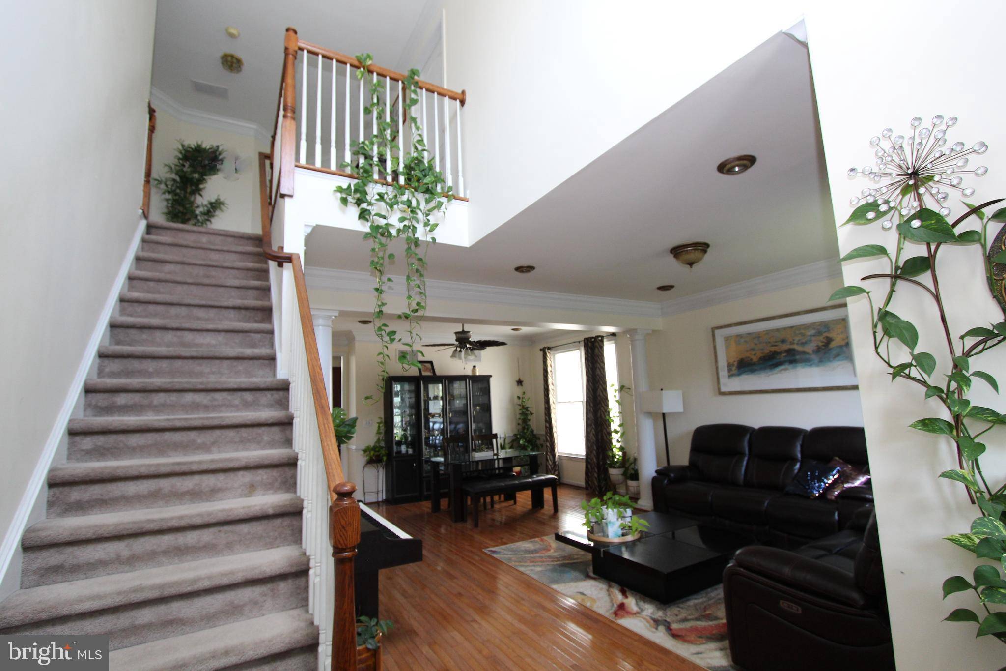Princeton, NJ 08540,26 ESTERBROOK DR
