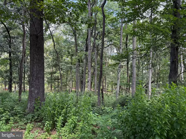 Augusta, WV 26704,82 CABIN RD