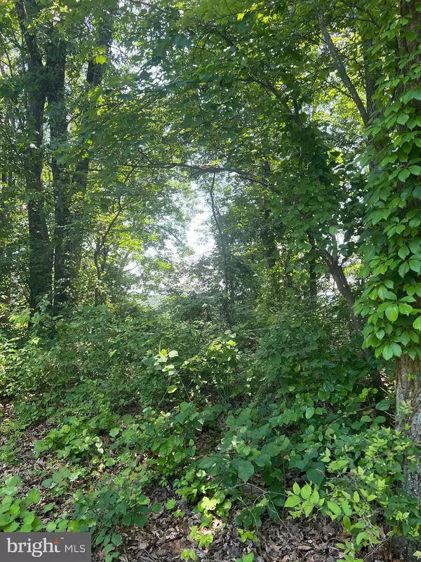 Broadway, VA 22815,LOT 6 SUPINLICK RIDGE