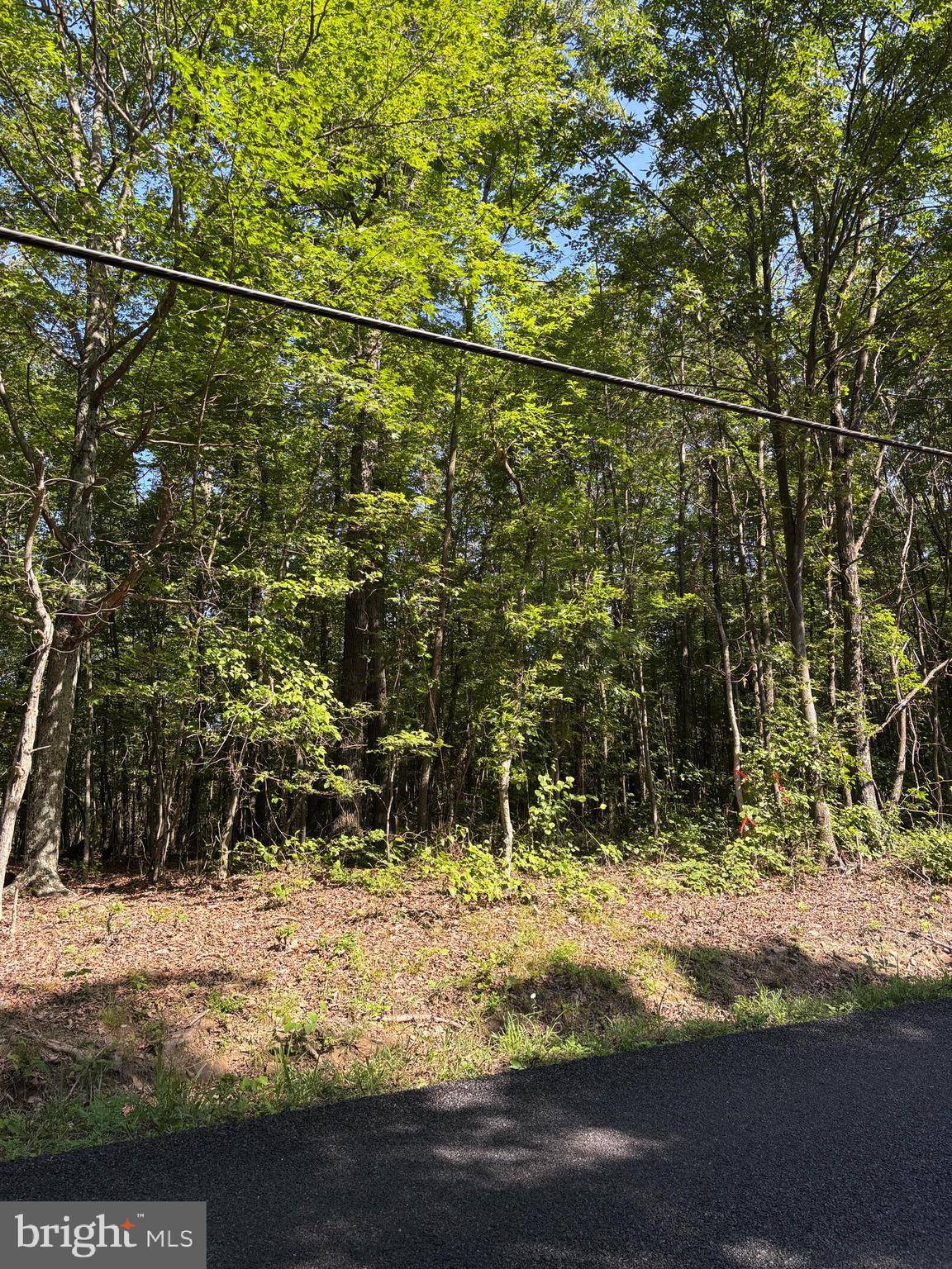 Great Cacapon, WV 25422,LOT 1 DETOUR RD