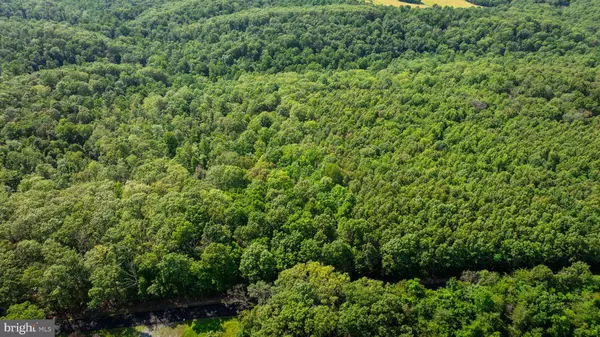 Great Cacapon, WV 25422,LOT 1 DETOUR RD