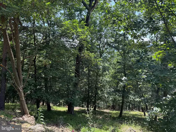 Romney, WV 26757,243 BLUFFS ON THE POTOMAC