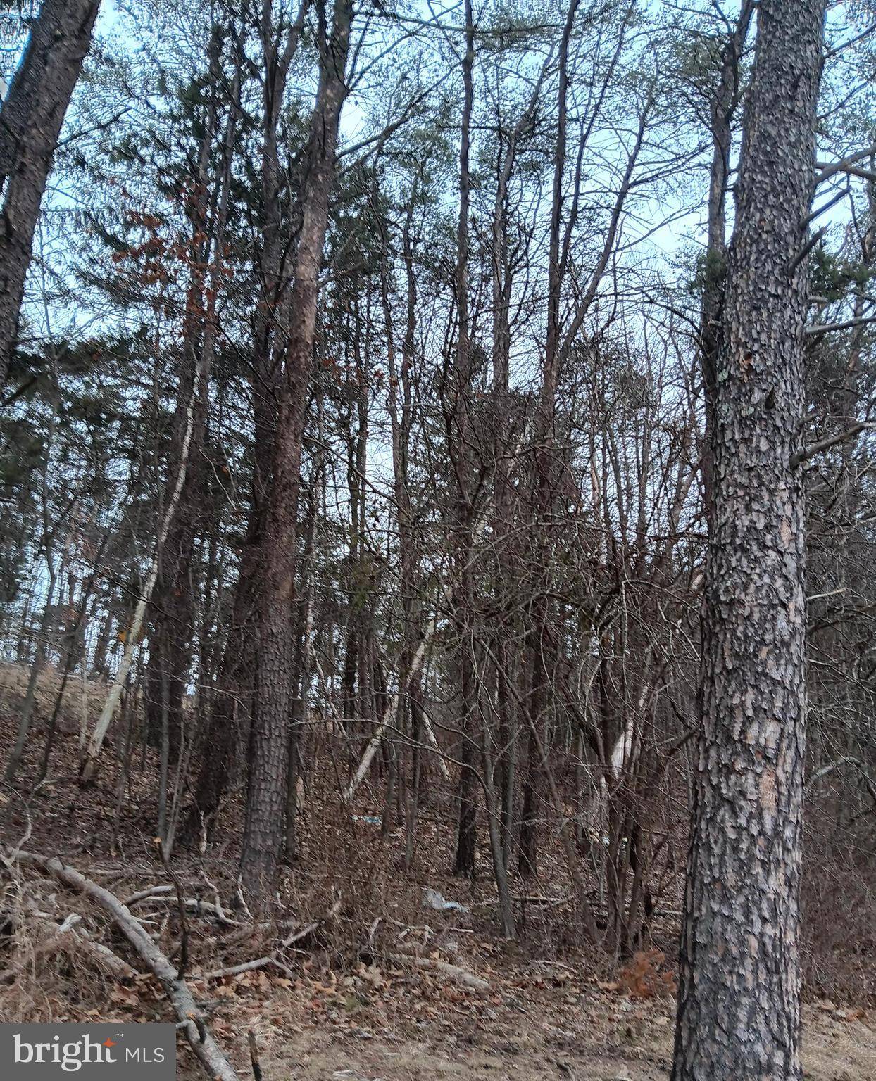 Everett, PA 15537,0 BUNKER HILL RD.