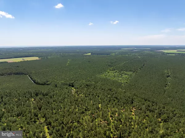 Newark, MD 21841,0 PATEY WOODS RD