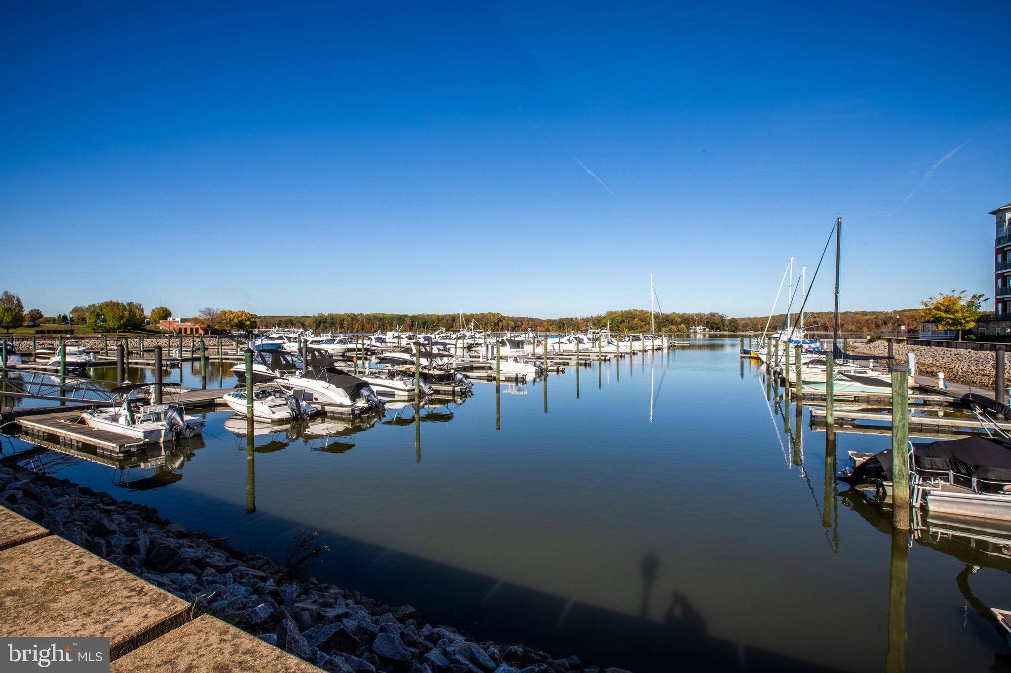 Woodbridge, VA 22191,485 HARBOR SIDE ST #900