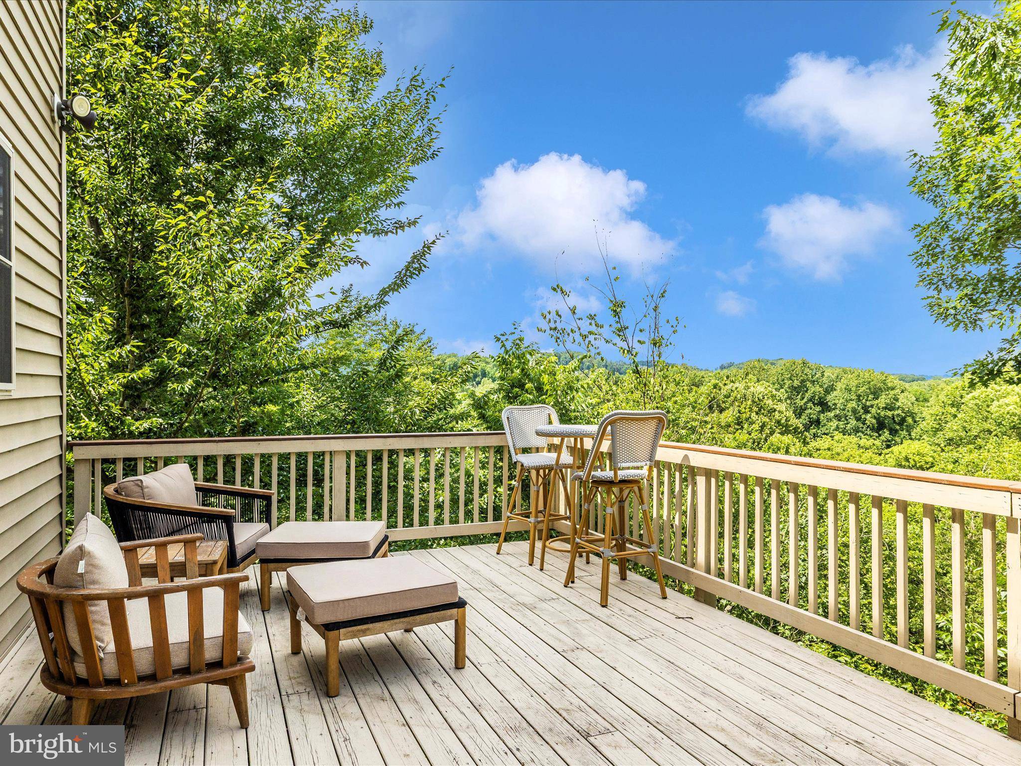 New Market, MD 21774,10807 FOREST EDGE PL