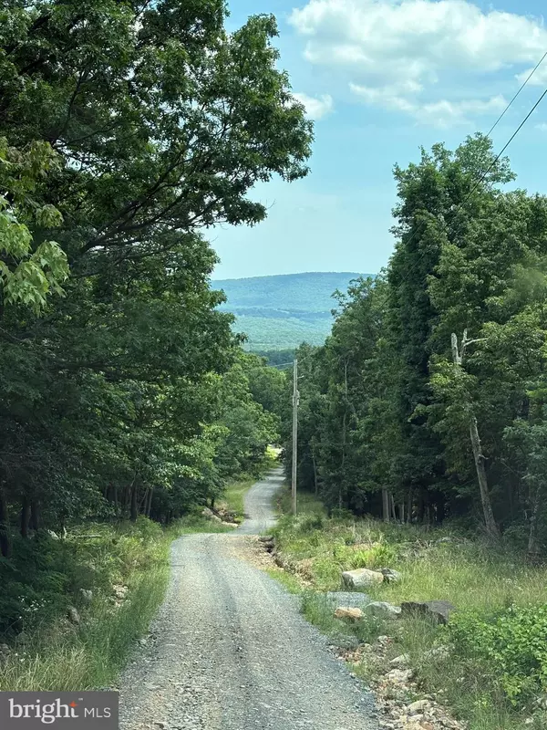 Star Tannery, VA 22654,LOT 57 CHRYSANTHEMUM TRAIL