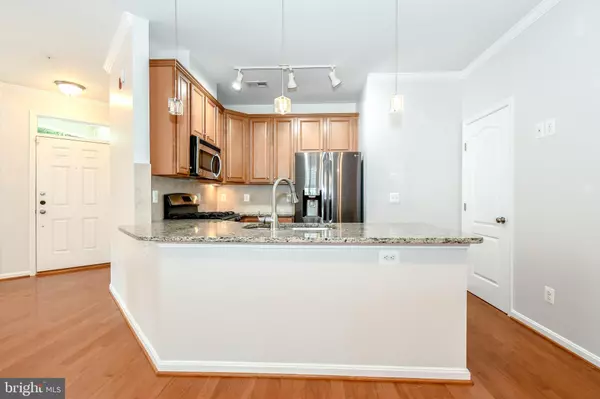 Aldie, VA 20105,42255 SAN JUAN TER