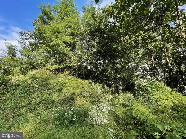 Clifton Heights, PA 19018,397 SYCAMORE AVE