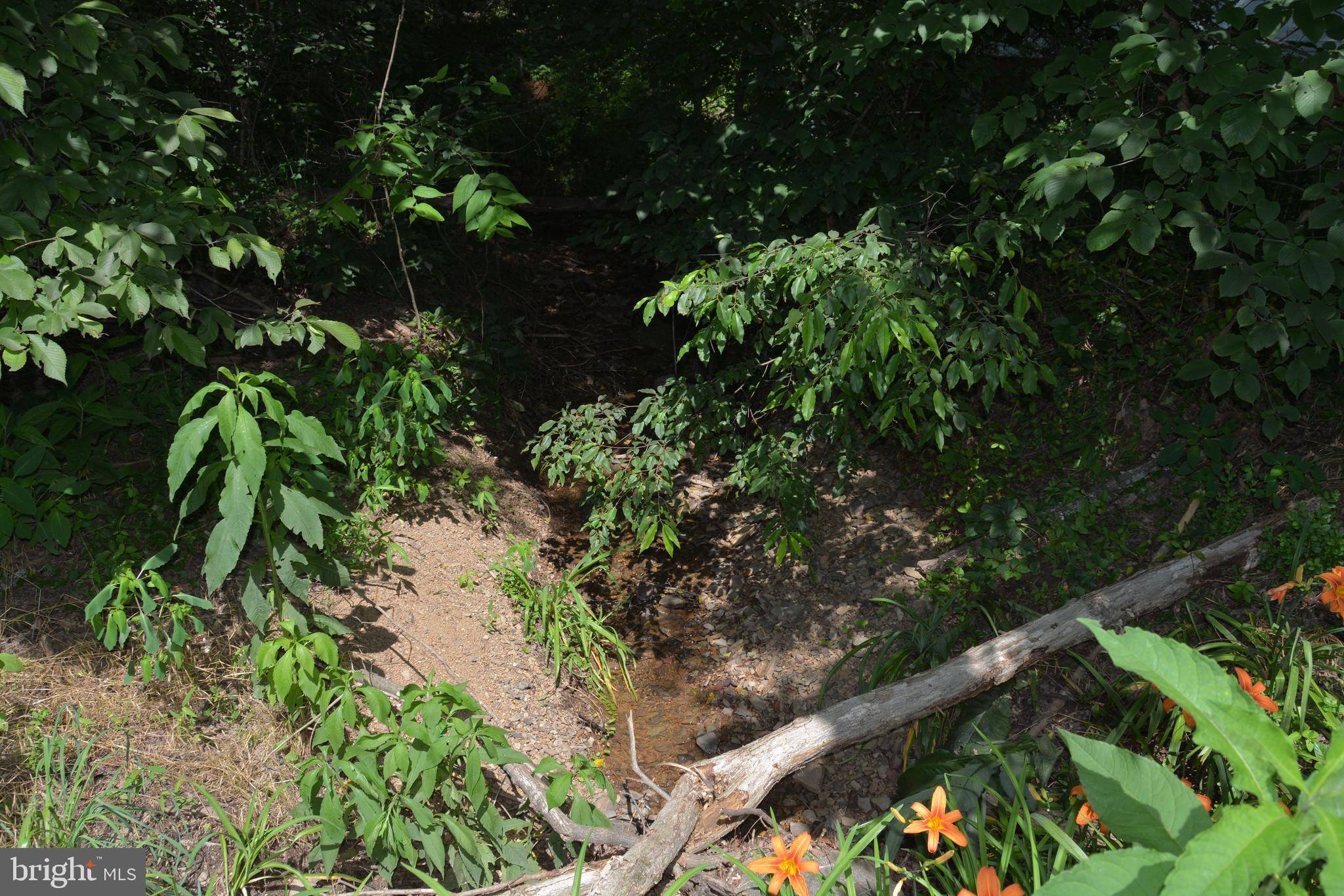 Gore, VA 22637,596 BACK CREEK RD