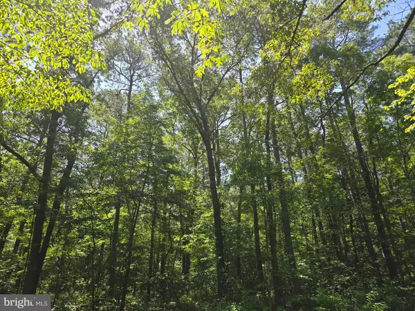 Laurel, DE 19956,15729 GOOSE NEST RD