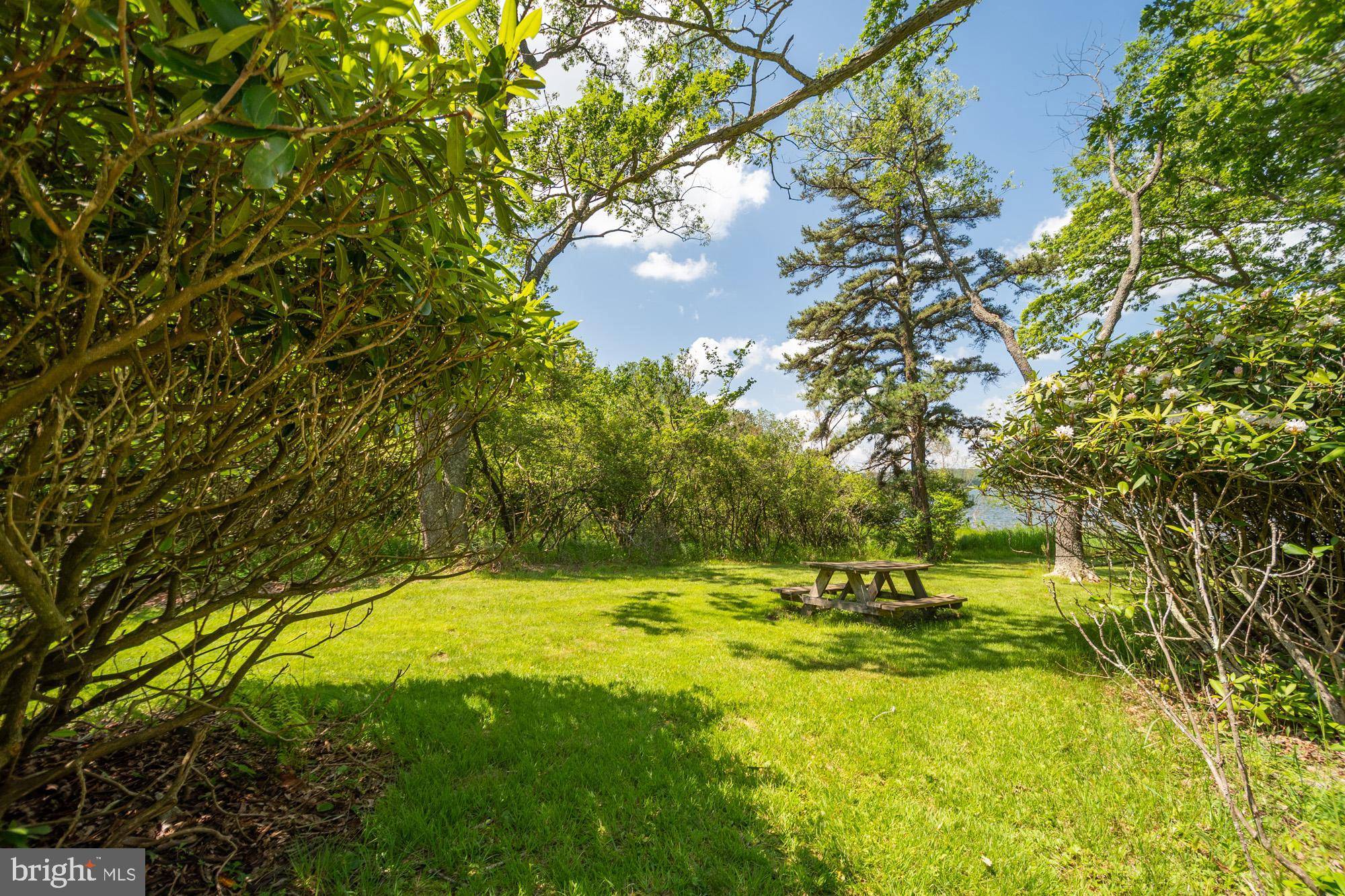 Swanton, MD 21561,2895 TURKEY NECK RD