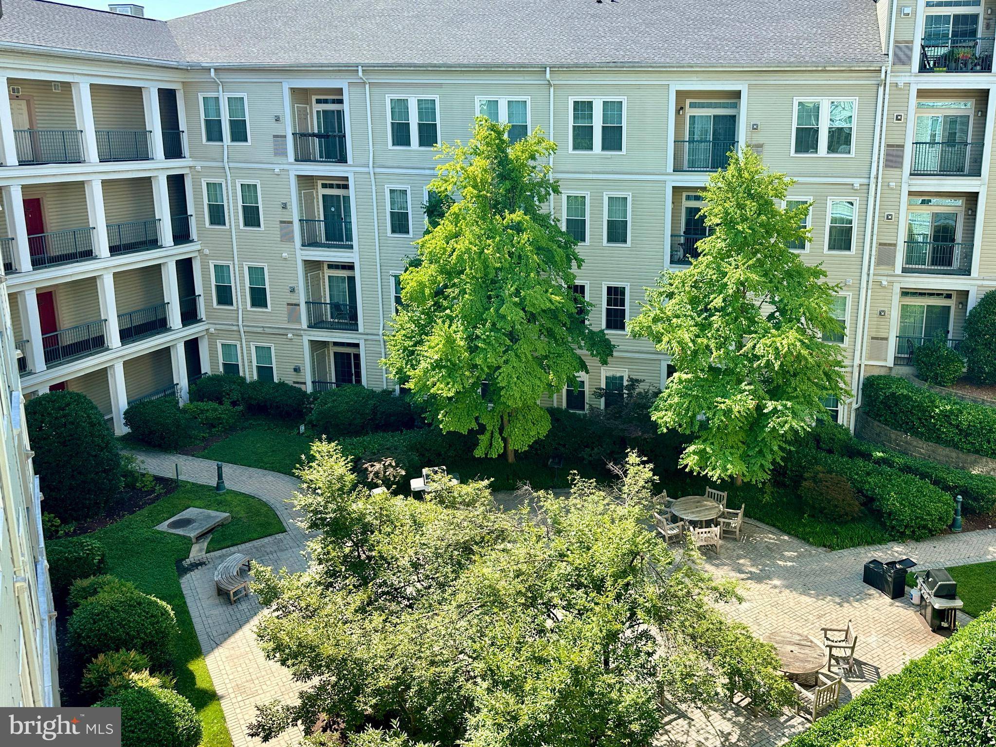 Arlington, VA 22206,2465 ARMY NAVY DR #1-302