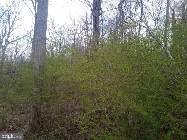 Kutztown, PA 19530,875 KRUMSVILLE RD