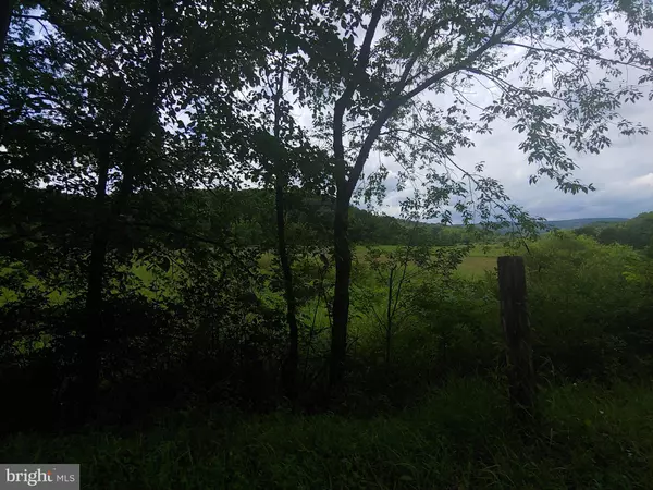 Oldtown, MD 21555,BEAR HILL RD