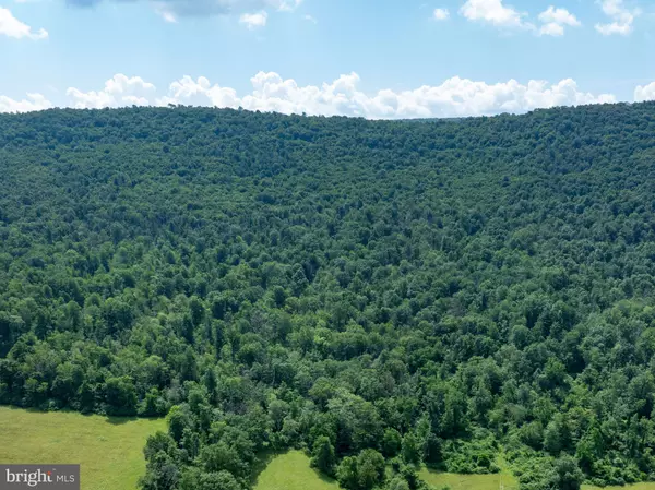 Bellefonte, PA 16823,0 ZION BACK RD S