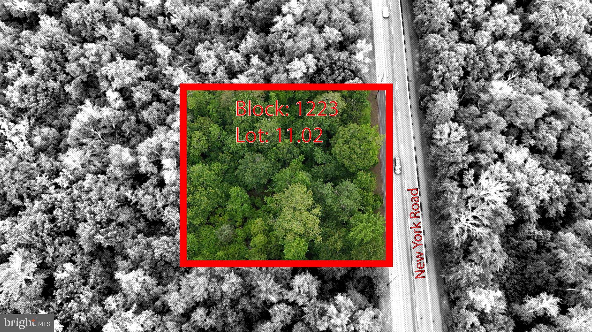 Absecon, NJ 08205,BLOCK:1223 LOT:11.02 NEW YORK RD
